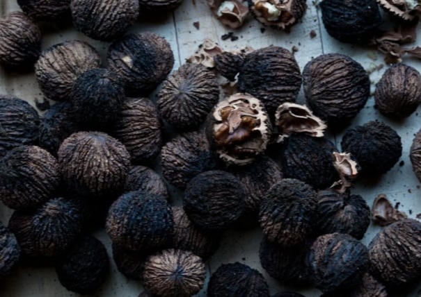 Black Walnut